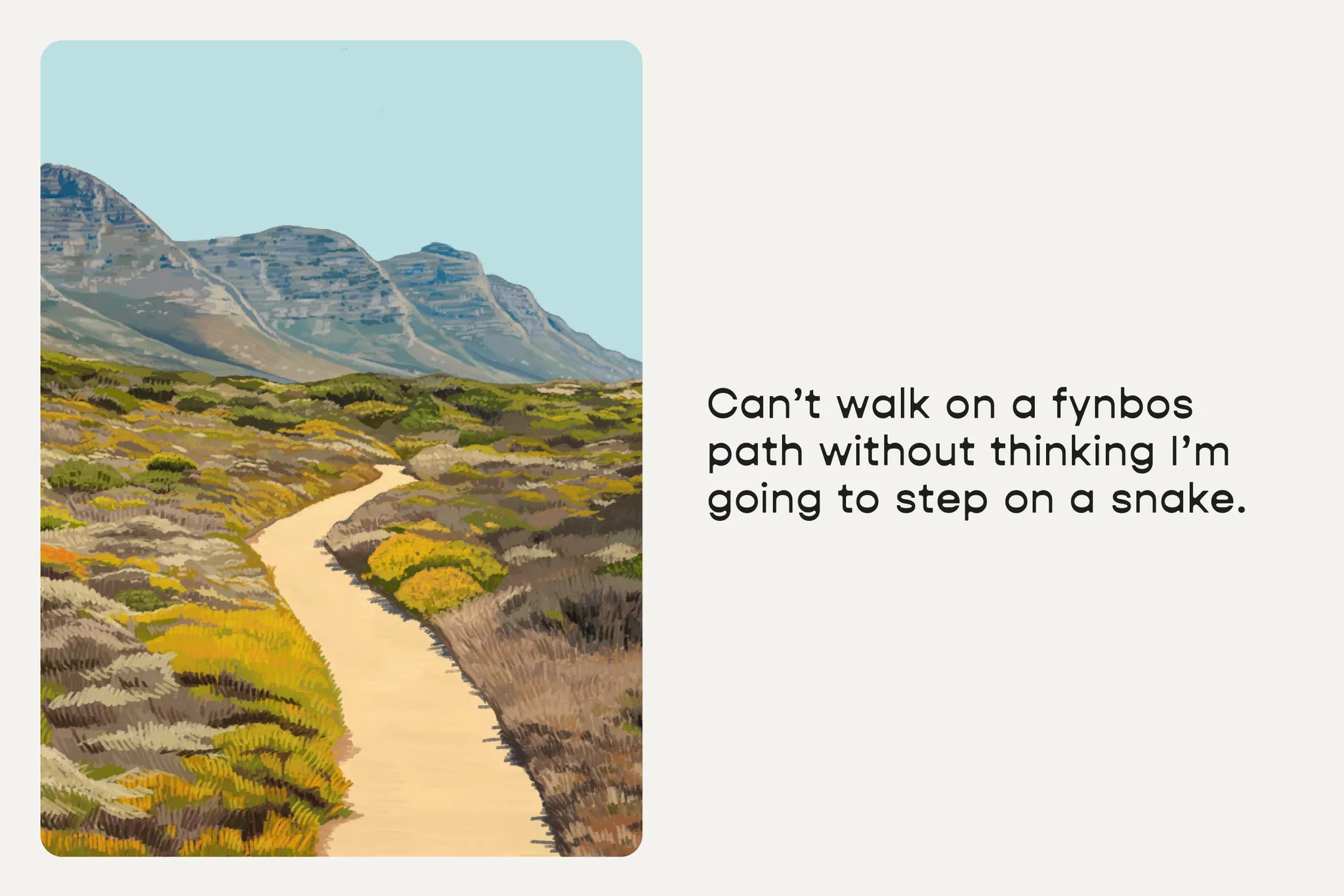fynbos path illustration