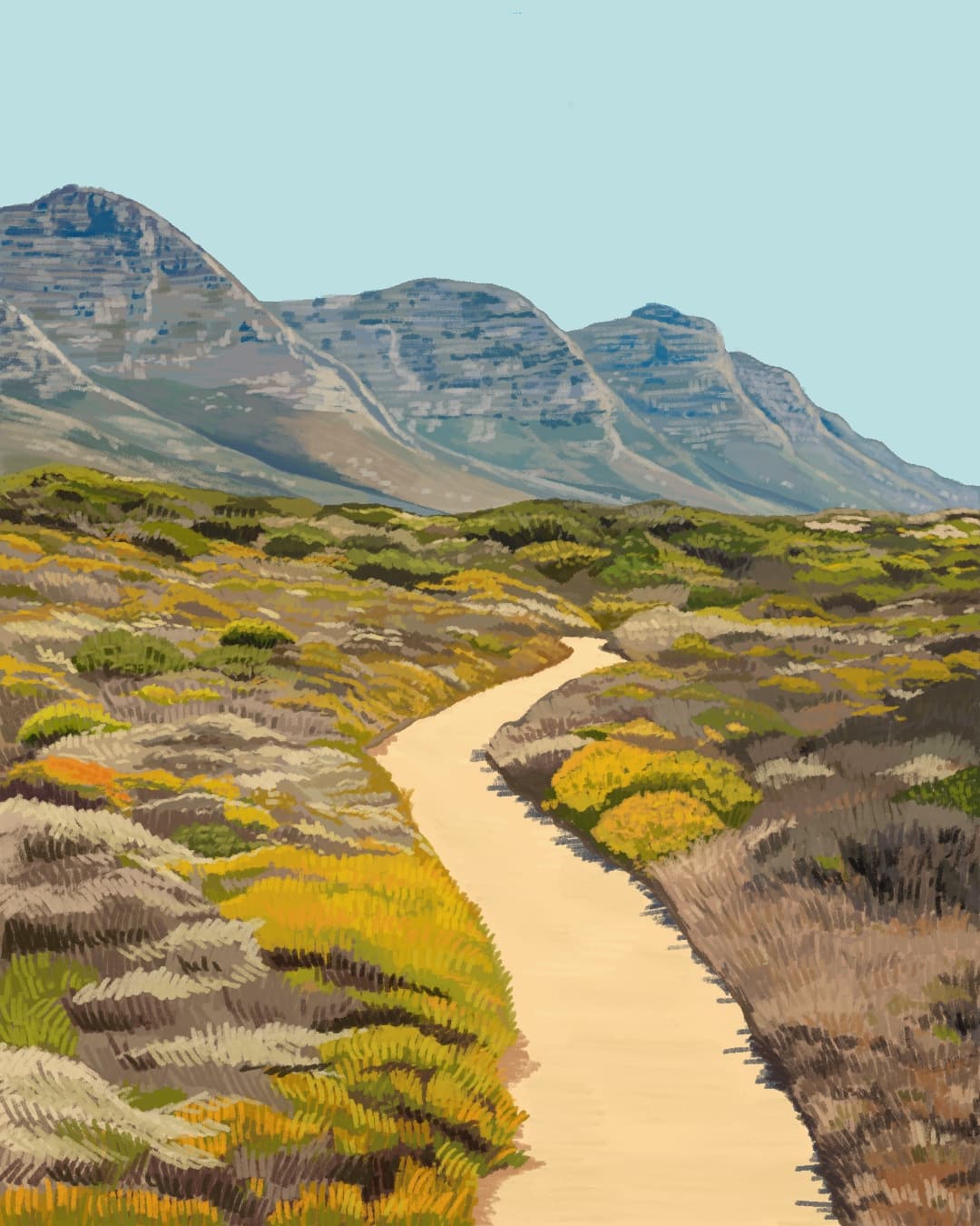 fynbos 2