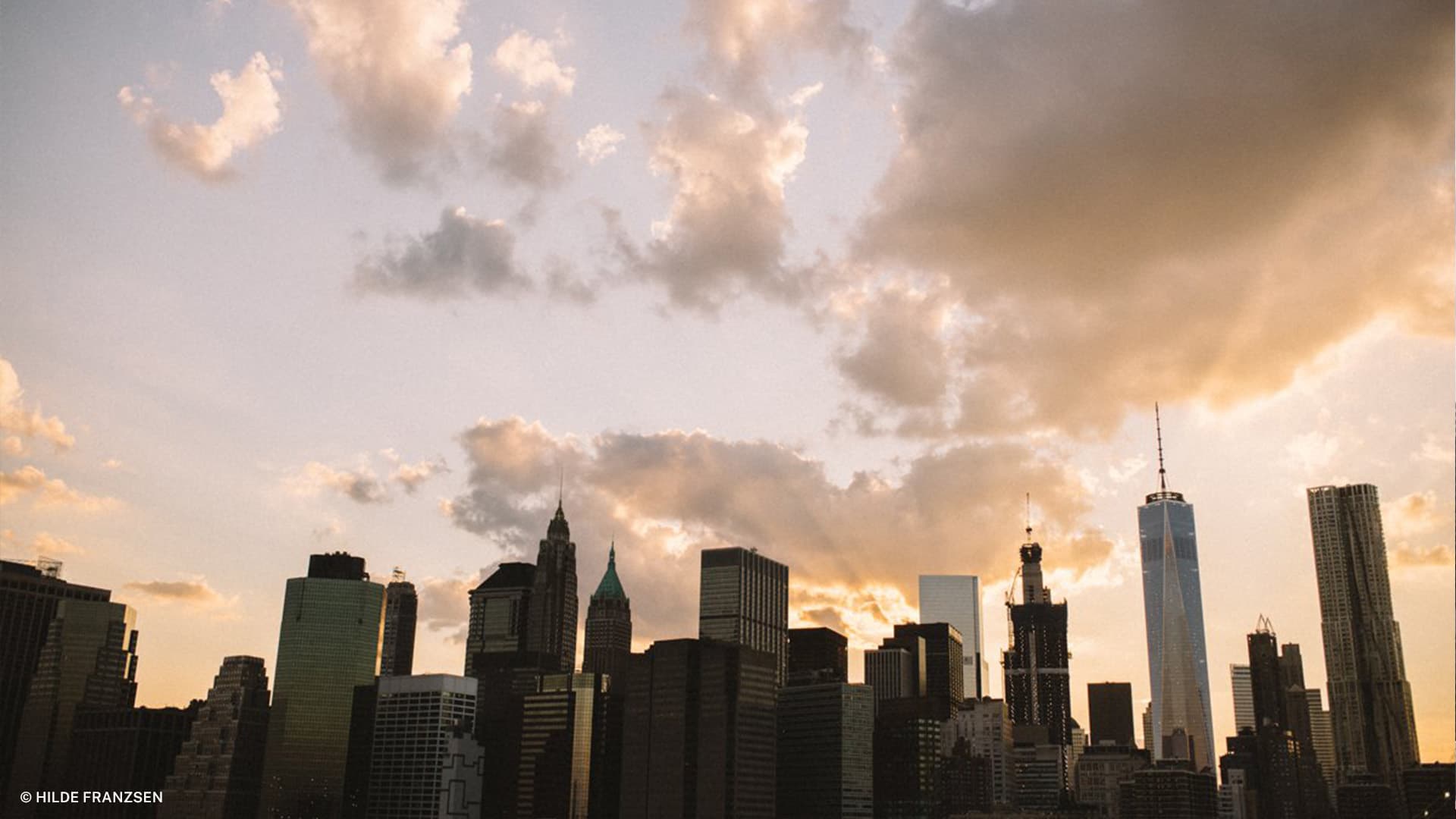 hilde nyc