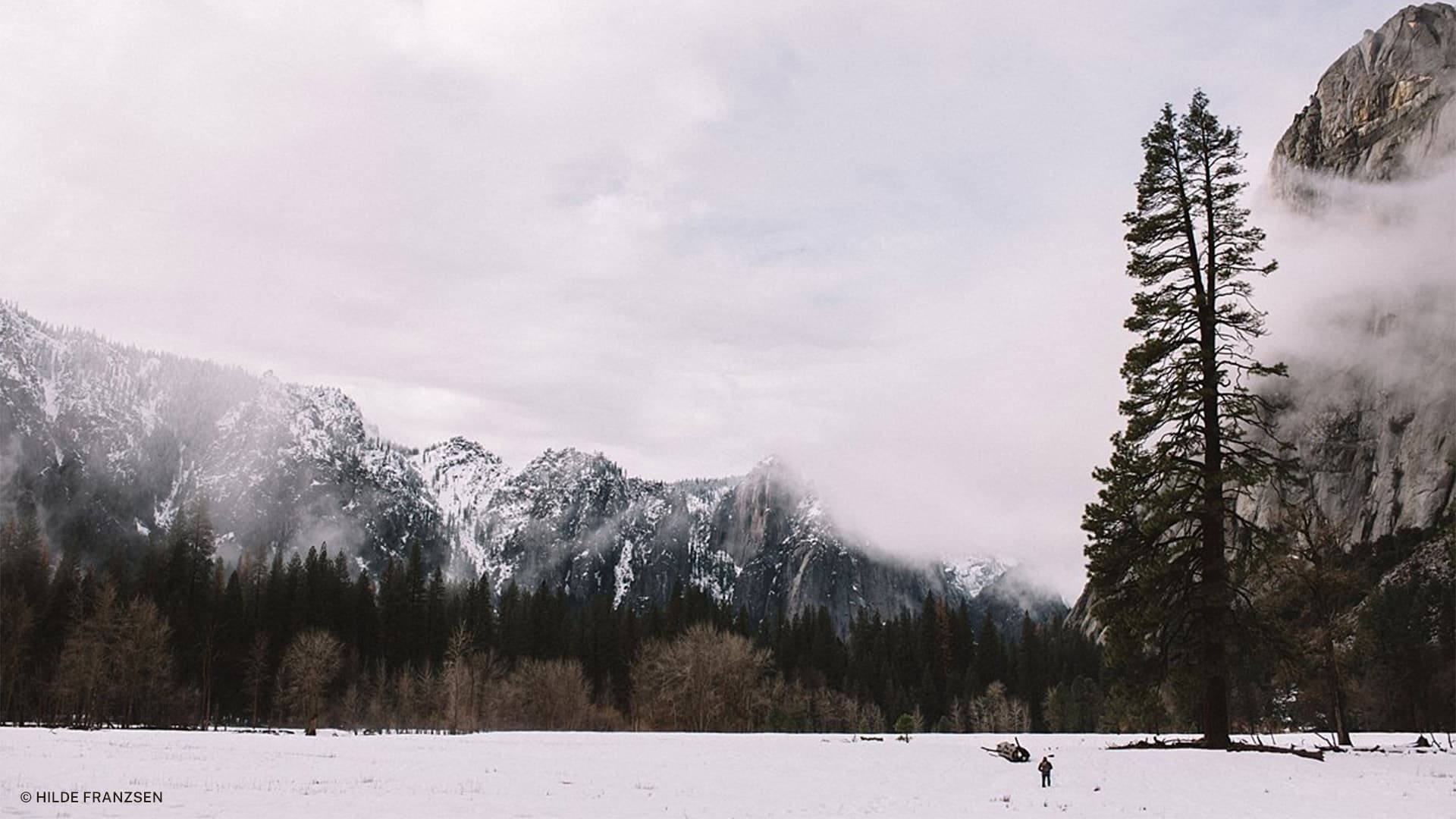 hilde yosemite